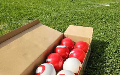 Le Gateball Débarque dans les foyers ruraux de Vaucluse : Réveillez le Stratège Qui Est en Vous !